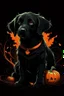 Placeholder: graphic Halloween, black dog, furry