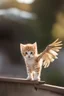 Placeholder: a kitten turning into a bird