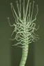 Placeholder: nervous ganglion made of dark plant matter