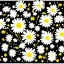 Placeholder: illustration of a bouquet of white daisies, digital illustration, thin black lineart, vector art, photoshop, plain yellow background, minimalist art