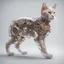 Placeholder: Mechanical anatomy of a cat being, transparent skin revealing all the mechanisms 8k