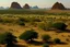 Placeholder: nature of Sudan, kassala mountains