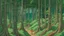 Placeholder: forest drawn by studio ghibli