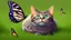 Placeholder: Funny cat in the grass with one butterfly