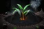 Placeholder: biochar into plants