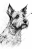 Placeholder: Portrait of a terrier, traditional hand-drawn ink line sketch, retaining rough structure lines and flying lines; watercolour , transparent, water scale edge and strong white highlight; texture white paper background, strong line dynamics; 3:4