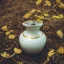 Placeholder: artistic photo of a tiny cracked ceramic vase repaired with gold, kintsugi, garden setting, beautiful landscape photography, beautiful, vines and leaves, delicate, cinematic, high detail, beautiful composition, delicate arrangement, aesthetic, soft lighting, award winning photography, tender