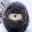 Placeholder: black puff ball of fluff in the snow vintage