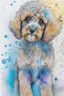Placeholder: Abstract wet watercolour of a cockapoo, sketchy pencil lines, splashy background, bifurcated circles, detailed,focus on eyes, watercolour paper