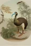 Placeholder: John James Audubon-like illustration of a fully uncropped Dodo bird and a Platypus in a landscape of warm yellows, warm reds, and warm blues