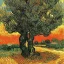 Placeholder: Street tree by van gogh