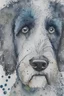 Placeholder: Abstract wet watercolour of the head of a black and white bernadoodle, ink lines, interlinked circles, detailed,focus on eyes, watercolour paper
