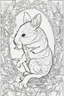 Placeholder: australian animal coloring page