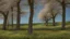 Placeholder: a spring day in the countryside with trees and fields of wildflowers under blue skies