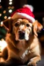 Placeholder: Christmas dog