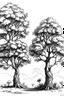 Placeholder: Ghaf tree line art draw with detail in its leaves, branches