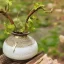 Placeholder: photo of a small cracked ceramic vase repaired with gold, kintsugi, garden setting, beautiful landscape photography, beautiful, vines and leaves, delicate, cinematic, high detail, beautiful composition, delicate arrangement, aesthetic, soft lighting, award winning photography, tender