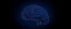 Placeholder: a dark blue back ground with brain