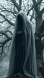 Placeholder: In a mesmerizing and ethereal manner, an otherworldly being emerges in the form of a translucent grey hood statue flowing smoky black robes. Forward facing a big tree in the background