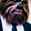 Placeholder: Chewbaca in a suit, photo taken by a nikon