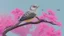 Placeholder: A bird drawing in a tree with a lot of pink flowers.