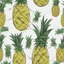 Placeholder: Concept pineapple