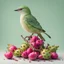 Placeholder: A small bird in light green sitting on several small dragon fruits all on a light background for removal