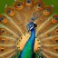 Placeholder: portrait of queen of peacocks, stunning, beautiful, gorgeous, realistic, photo illustrative, ornate, 8K resolution, high-quality, fine-detail, digital art, detailed matte, brian froud, howard lyon, selina french, anna dittmann, annie stokes, lisa parker, greg rutowski, alphonse mucha