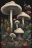 Placeholder: Explore a vibrant world of exotic flora and fauna, where towering mushrooms rise from a black liquid surface.