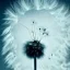 Placeholder: a small, fluffy dandelion on fire at the middle left part of the picture, dreamlike minimalist art with a lot of white space around it