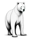 Placeholder: Fondo blanco Art illustration lineal polar bear, nieve, calidad ultra, hiperdetallado, 12k, fondo blanco, color blanco y negro full body