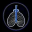 Placeholder: Lungs, Logo, 4k, high resolution