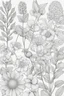 Placeholder: french botanicals coloring page