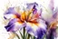 Placeholder: mpressionistic, runny wet watercolor painting, Willem Haenraets style, ((best quality)), ((masterpiece)), ((realistic, digital art)), (hyper detailed), intricate details, (one) 1multicolored iris flower, closeup, white background, vivid coloring, some splashes