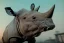 Placeholder: rhinoceros with a pompadour haircut