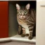 Placeholder: cat finds mouse under cupboard