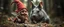 Placeholder: close up on pixie quickling gnome and a giant troll intense huge funny mouse, with background motion blur, in magical forest scene, in the style of Rembrandt