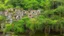 Placeholder: Gigantic mushroom village with balconies, archways, stairs, bridges, bushes, spanish moss, ivy, river, a winding pathway through the middle, in a valley