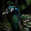 Placeholder: peacock