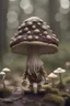 Placeholder: little mushrooms eyes two legs hat beard