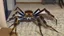 Placeholder: tarantula escaping hotel room while guests scream and run frantically