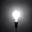 Placeholder: Lightbulbs substituting my moonlight Rays of the sun reflect all men You're the only thing that's real in my life Yeah