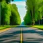 Placeholder: New asphalt road and big green trees on both sides