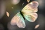 Placeholder: diaphanous transparent light butterfly with glowing center on dark grey leaves, ethereal, otherwordly, cinematic postprocessing, bokeh, dof