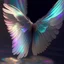 Placeholder: iridescent wings