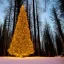 Placeholder:  Giant christmas tree,in a forest at night