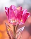 Placeholder: A 3D transparent glass tulips with intricate design: crystalline petals reflect pink, purple, and gold hues with gemstone-like edges and water droplets. A metallic stem and leaves, along with blurred warm gradients, evoke a futuristic, ethereal fantasy atmosphere