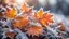 Placeholder: photo of autumn leaves covered in a frosty frost casing, bright side lighting, blurred background