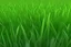 Placeholder: Small Green blades of 2d game grass. Background