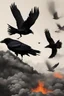 Placeholder: crows circling the fire